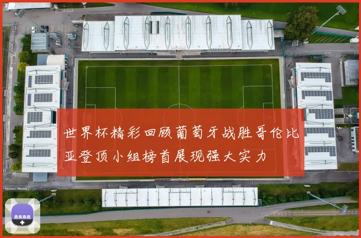 世界杯精彩回顾葡萄牙战胜哥伦比亚登顶小组榜首展现强大实力